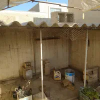 فروش سایه بانی  کشابی  از مبلغ 250هزار تومان