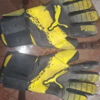 دستکش دروازه بانی پوما