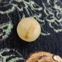 عقیق شجر دریا|کلکسیون اشیاء عتیقه|گلبهار, شهر جدید گلبهار|دیوار