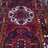 کناره شربیان درحدنو