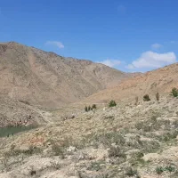 مشارکت-در-ساخت
