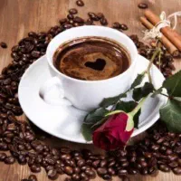 فال تضمینی (پیج ۱۰۰ کا) با کمترین هزینه