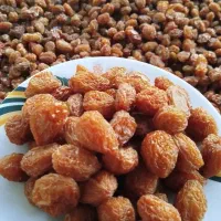 آلو بخارا تویسرکان