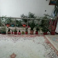 فروش ت|فروش آپارتمان|شهریار, اسد‌آباد|دیوار