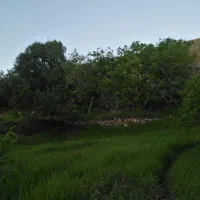 نیازمندیم به کارگر وارد و پر انرژی