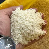 برنج طارم اصل شمال|خوردنی و آشامیدنی|تهران, سید خندان (جلفا)|دیوار