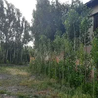 فروش کارخانهای کامل با باغ ۲۵۰۰ متری و سوئیت|فروش دفتر صنعتی، کشاورزی، تجاری|مشگین شهر, |دیوار