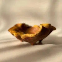 طروف چوبی روستیک کوکسا ساعت چوبی|ظروف سرو و پذیرایی|شیراز, بازار|دیوار