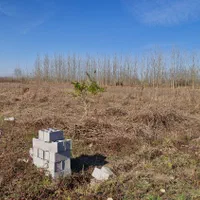 فروش زمین ۲۰۰۰ متری صنعتی/روستای امشل آستانه|فروش زمین و ملک کلنگی|آستانه اشرفیه, |دیوار