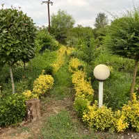 ویلا باغ کیان|اجارهٔ کوتاه‌مدت ویلا و باغ|چابکسر, |دیوار