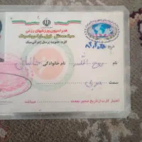 مربی رشته رزمی فول کیک بوکسینگ