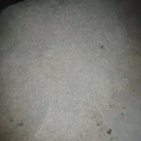کاه نخود