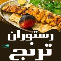 استخدام پیکموتوری