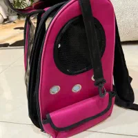 کوله پت|لوازم جانبی حیوانات|سلمانشهر, |دیوار