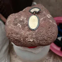 شهاب سنگ مریخی یا ماه با پوسته همجوشی و اثر انگشت