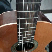 اجرای موزیک زنده جهت کافه ورستوران