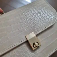 کیف مجلسی