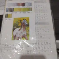 تابلو فرش کوچک|تابلو فرش|کرمانشاه, |دیوار