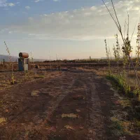 فروش باغ|فروش زمین و ملک کلنگی|هیر, |دیوار