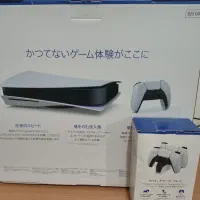 ps5 fat