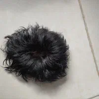 پروتز مو|آرایشگاه و سالن‌های زیبایی|بیرجند, |دیوار