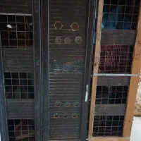 جفت کن پرنده کبوتر کبک بلدرچین