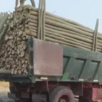 خریدوفروش چوب|عمده‌فروشی|لاران, |دیوار