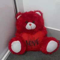 عروسک|اسباب‌‌بازی|مرودشت, فاز دوم شهرک فرهنگیان|دیوار