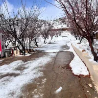 تخت دو نفره با تشک طبی رویال. قیمت 20 میلیون