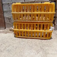 کارونقلعهچنعانشهرکربیعخیاباناصلی