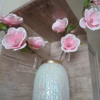 گل مگنولیا با گلدان