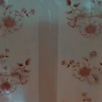 سفره یکبارمصرف|ظروف نگهدارنده، پلاستیکی، یک‌بارمصرف|اراک, |دیوار