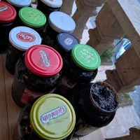 رب آلوچه ملس محلی شمال امساله بسیار خالص