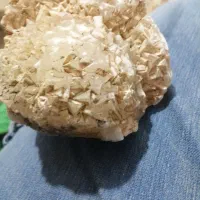 سنگ کوارتز. فسیل. جاسپر.