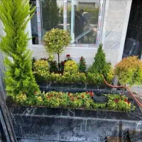 خدمات باغبانی کاشت گل وگیاه باغچه کاری خاک گلدون