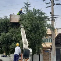 برشکاری چوب و هرس کاری باغبانی خرید چوب تناچ بالا|خدمات باغبانی و درختکاری|اهواز, گلستان|دیوار