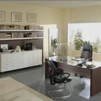 منشی ودستیار شخصی مدیر عامل