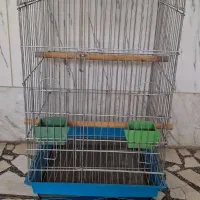 قفس برای طوطی سانان