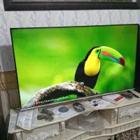 55اینچ الجی کره اسمارت هوشمند اندروید4kدرحداک