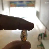 سنگ شجر تراش خورده مناسب گردنبند و انگشتر