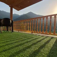 ویلای سوئدی سحر ((جکوزی دار))|اجارهٔ کوتاهمدت ویلا و باغ|ماسال, |دیوار