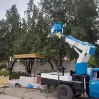 هرس درخت انواع درختها