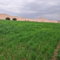 فروش ۵ هکتار لیشتر سند تک برگ