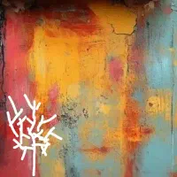 کارت بانگ پیداکردم