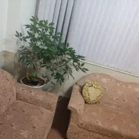 مبلمان راحتی