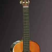 آموزش گیتار