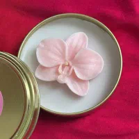 گیفت شمع|صنایع دستی و سایر لوازم تزئینی|هشتگرد, مدرس|دیوار