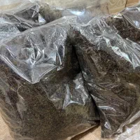 چای سرگل زرین لاهیجان ارگانیک