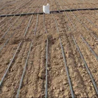 اجاره زمین کشاورزی