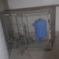 جوشکاری کاشی کاری سیمان کاری لوله کشی برق کشی|خدمات پیشه و مهارت|گلبهار, شهر جدید گلبهار|دیوار